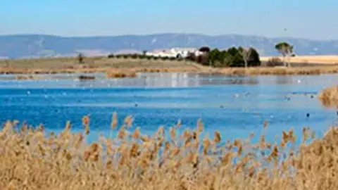 laguna2