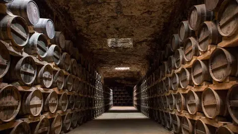bodega