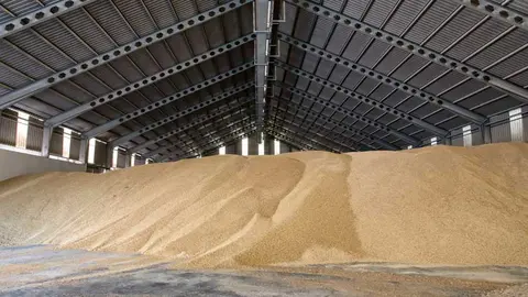 cereal