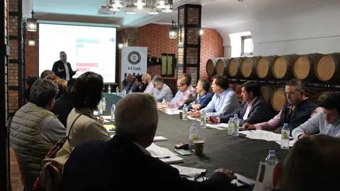 cooperativas