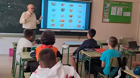 banco-alimentos