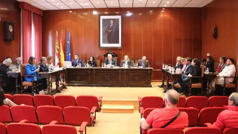 pleno1
