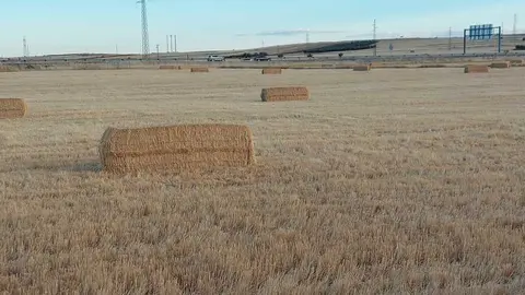 campo
