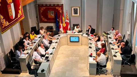 pleno-alc&aacute;zar