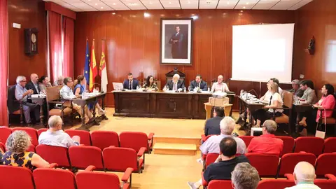 pleno-manzanares