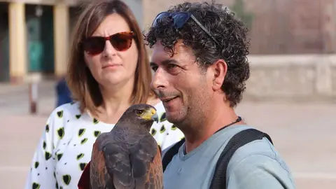 &Aacute;guila-de-Harris-para-el-control-de-la-plaga-de-palomas-(18)