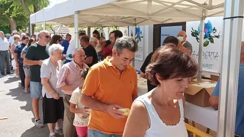 fiestas-manzanares