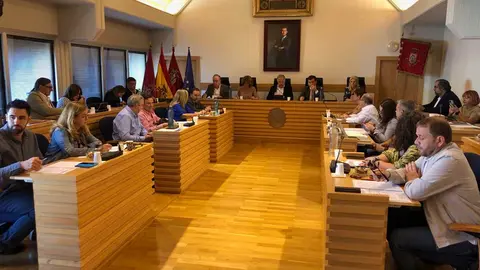 pleno-ciudad-real-2
