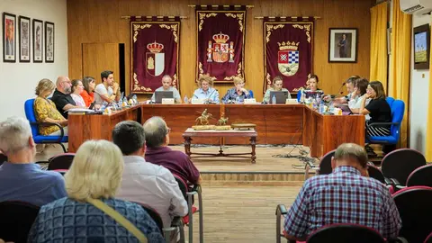 pleno-argamasilla