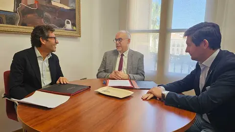 ies-sotomayor