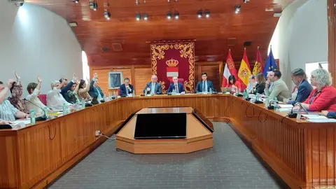ayuntamiento-de-puertollano