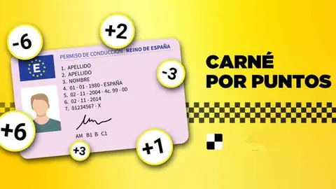 Carn&eacute; por puntos. Fuente: autoescuelasmrdumi.es