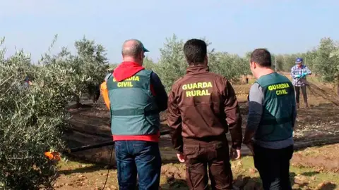 olivar-guardia-civil