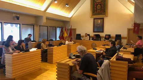 Primera-reuni&oacute;n-del-Consejo-Local-de-Sostenibilidad-(002)