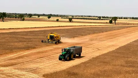 campo