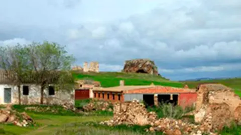 ciruela-4