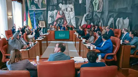 pleno-dipu