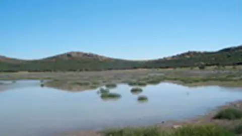 laguna-3