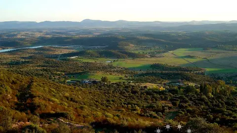 montesur