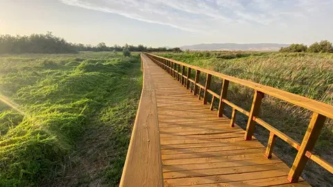 las-tablas-de-daimiel