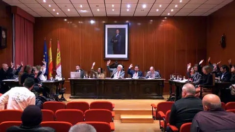 pleno-manzanares