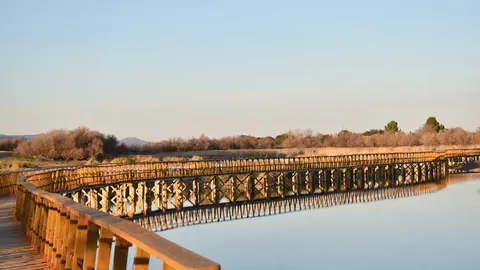tablas-de-daimiel
