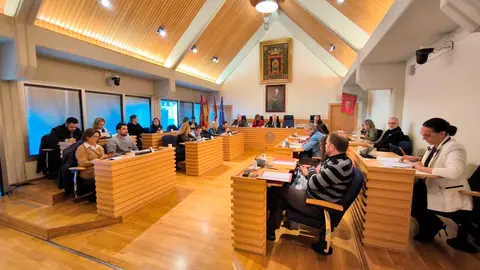 pleno-diciembre