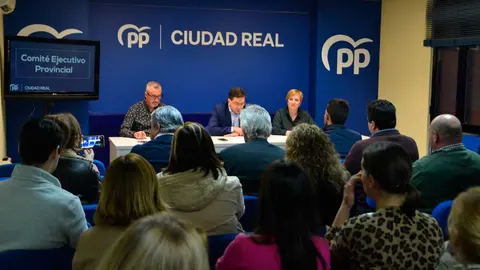 comit&eacute;-ejecutivo-pp
