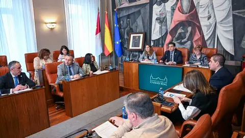pleno-dipu