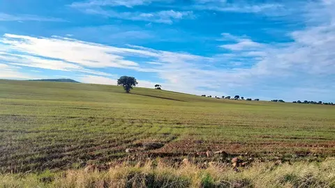 plataforma-s&iacute;-a-la-tierra-viva