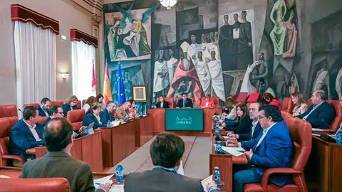pleno-dipu