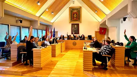 pleno-ciudad-real
