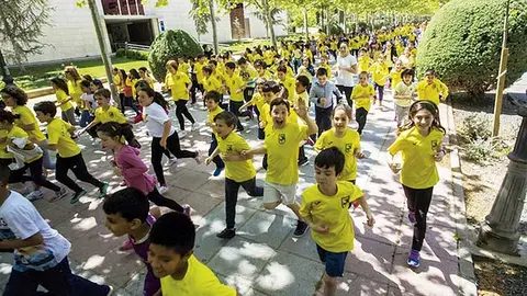 ayeryhoyparqueb
