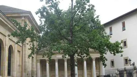 El &ldquo;&aacute;rbol de Guernica&rdquo;. Fuente: es.wikipedia.org
