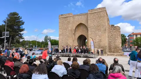 vivela-3
