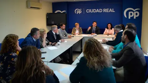 comit&eacute;-de-direcci&oacute;n-pp