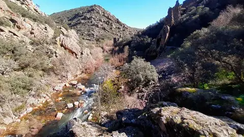 boquer&oacute;n-estena-1
