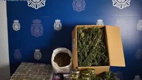 EuropaPress_6009441_policia_nacional_desmantela_centro_produccion_distribucion_marihuana