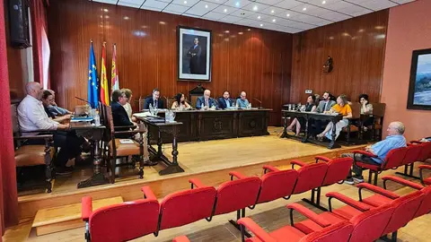 pleno-manzanares