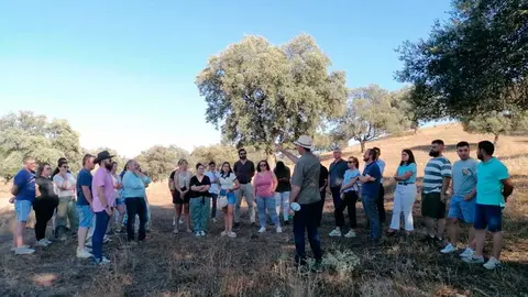 chill&oacute;n
