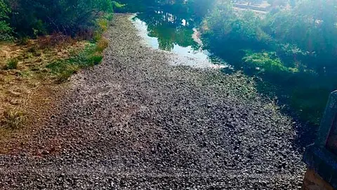 r&iacute;o-bullaque