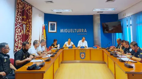 junta-local-seguridad-(002)