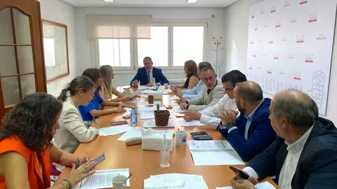 grupo-psoe-diputaci&oacute;n