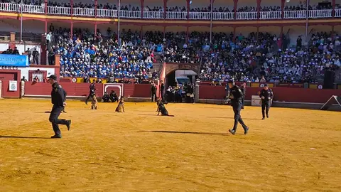 policia-1