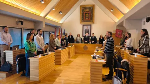 pleno-ayto
