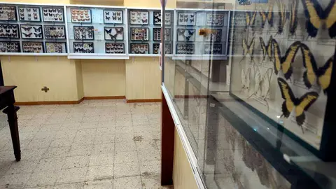 museo-avan-3