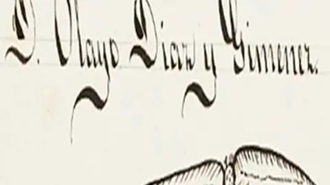 olayo-1