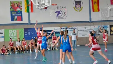 basket-cervantes
