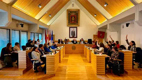 pleno-cs