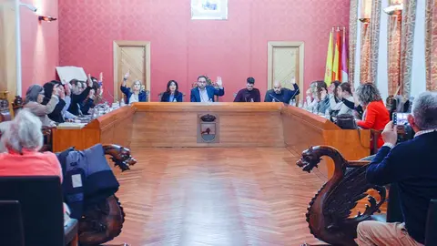 pleno-tomelloso
